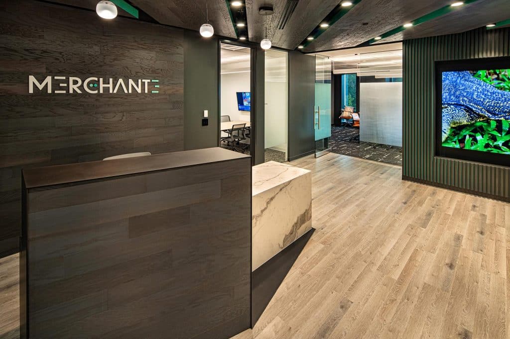 Merchant eSolutions (20)